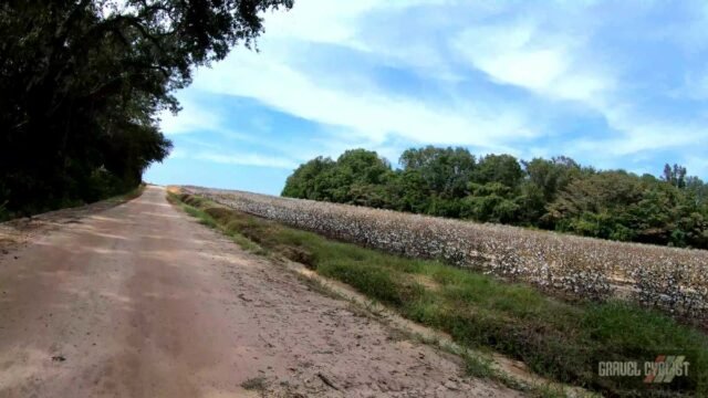 cycling the cotton fields of southern georgia