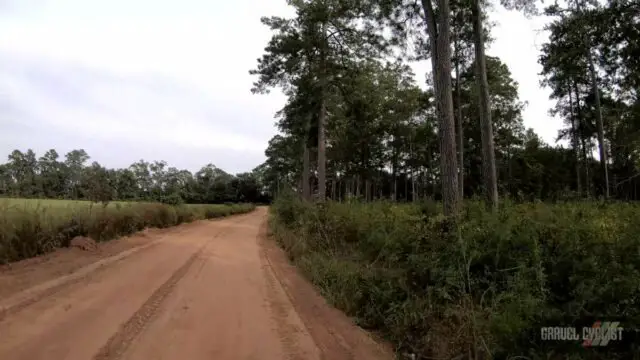 cycling the cotton fields of southern georgia