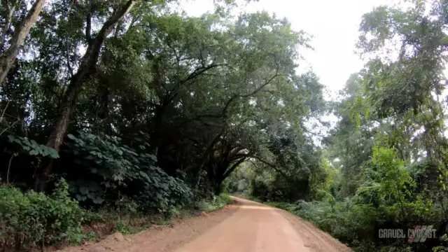 cycling the cotton fields of southern georgia