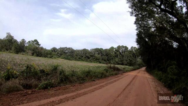 cycling the cotton fields of southern georgia