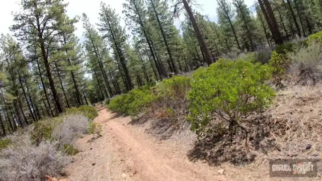 gravel cycling bend oregon westside tour