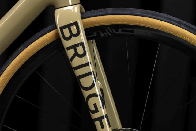 bridge bike works surveyor review