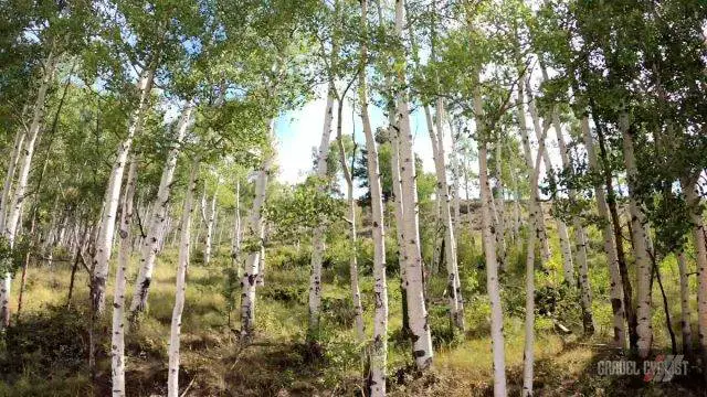 gunnison county gravel cycling camp