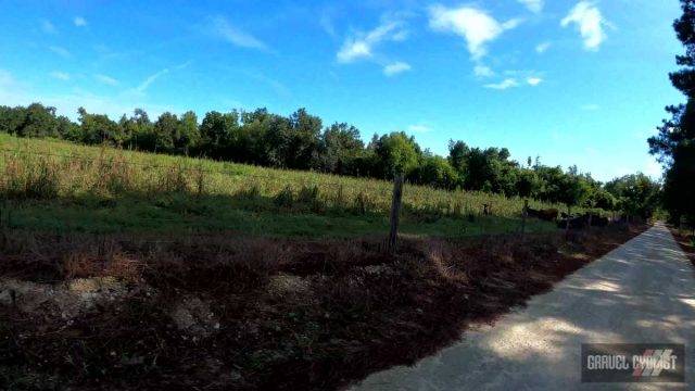 gravel cycling in northwest florida