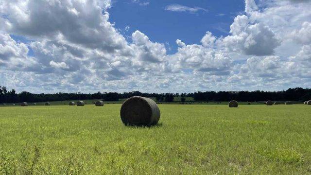 gravel cycling in northwest florida