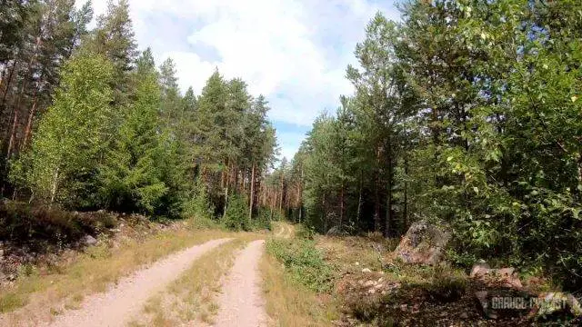 Mäntyharju gravel cycling