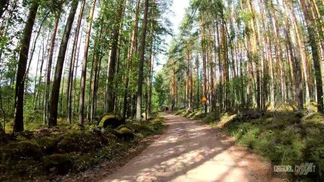 Mäntyharju gravel cycling