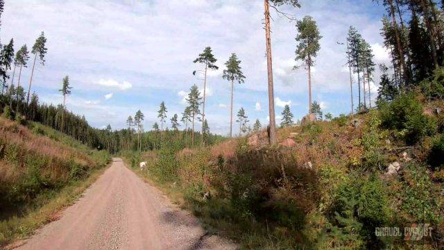 Mäntyharju gravel cycling