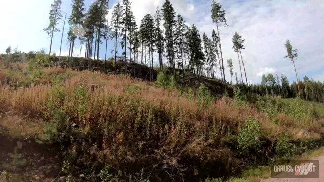 Mäntyharju gravel cycling