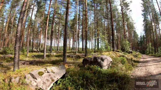 Mäntyharju gravel cycling