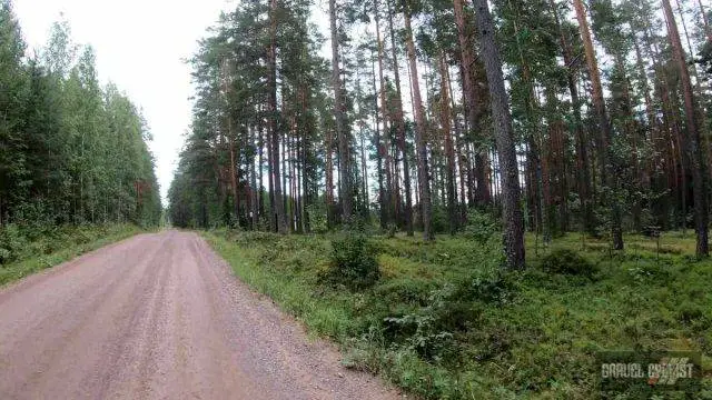 Mäntyharju gravel cycling