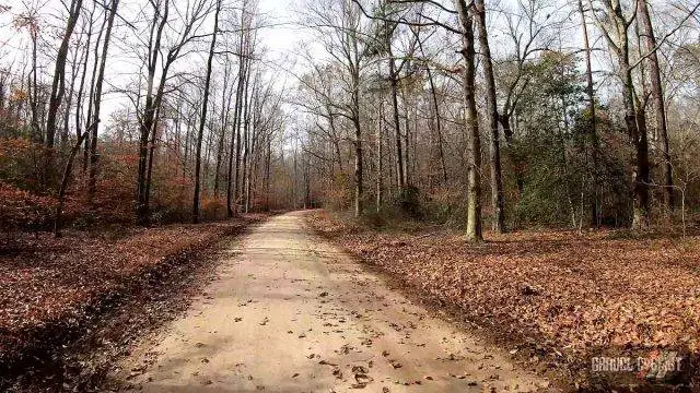 cycling in denton maryland