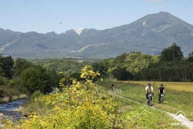 Panaracer Niseko Gravel report