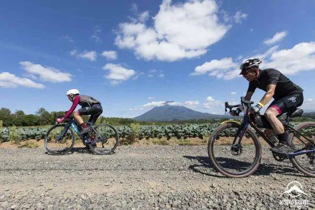 Panaracer Niseko Gravel report