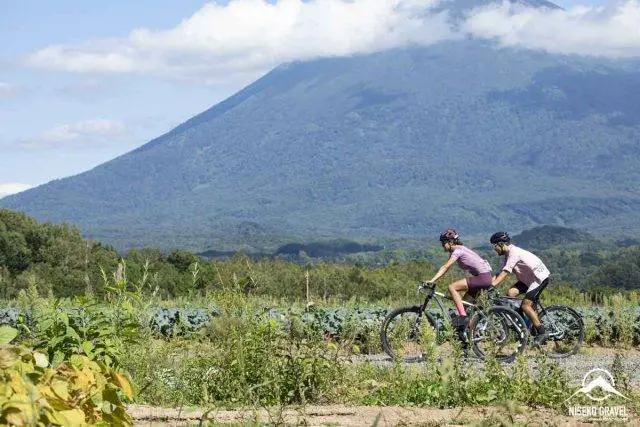 Panaracer Niseko Gravel report