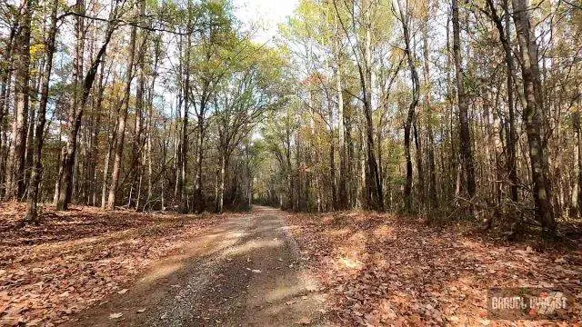 cycling in Wheeler National Wildlife Refuge