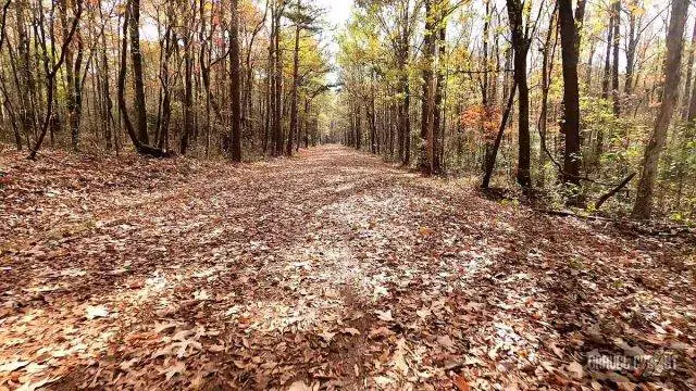 cycling in Wheeler National Wildlife Refuge