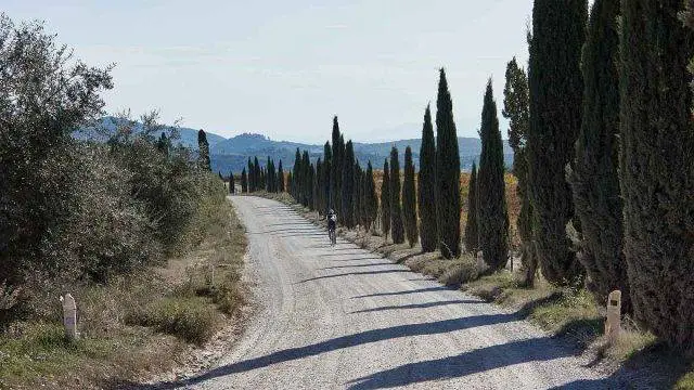 trek travel tuscany gravel bike tour