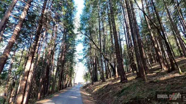 nevada city california gravel cycling