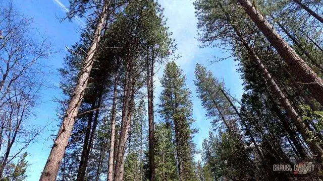 nevada city california gravel cycling