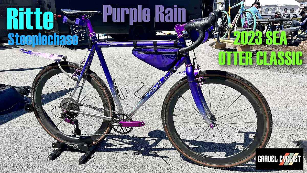 ritte steeplechase prince tribute bike