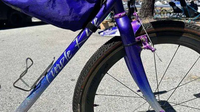 ritte steeplechase prince tribute bike