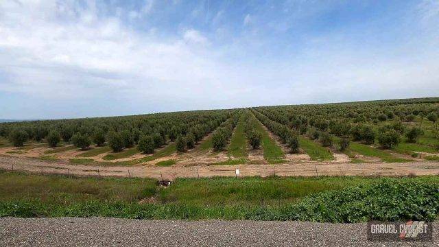 gravel cycling near sacramento california