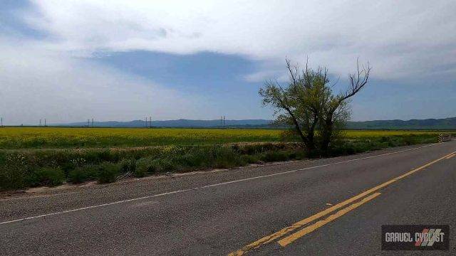 gravel cycling near sacramento california