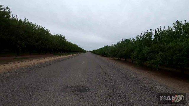 gravel cycling zamora california