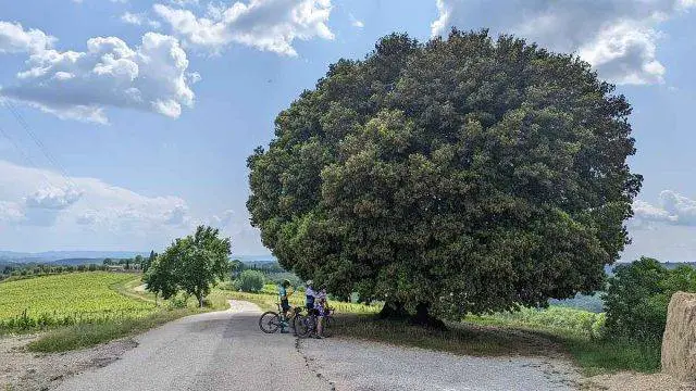 trek travel tuscany gravel trip 2023