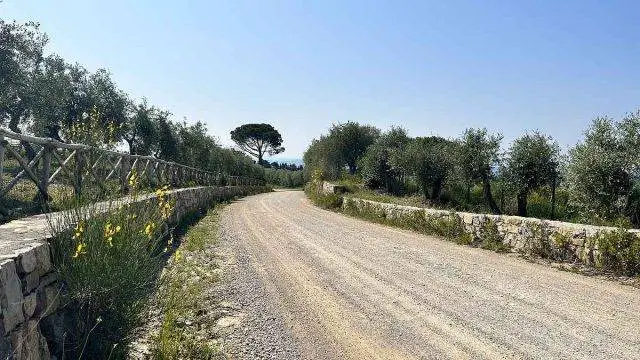 trek travel tuscany gravel trip 2023