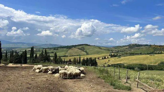 trek travel tuscany gravel trip