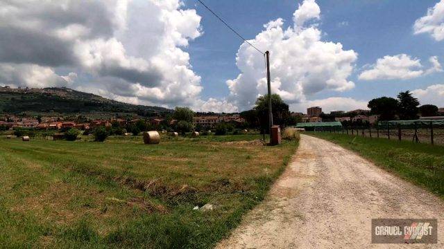 Castiglion Fiorentino cycling