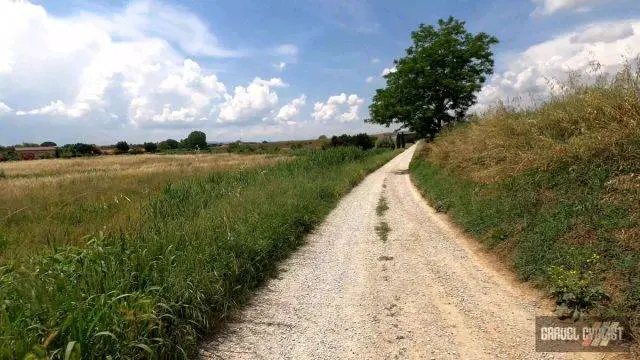 Castiglion Fiorentino cycling