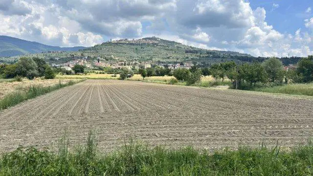 Castiglion Fiorentino tuscany cycling