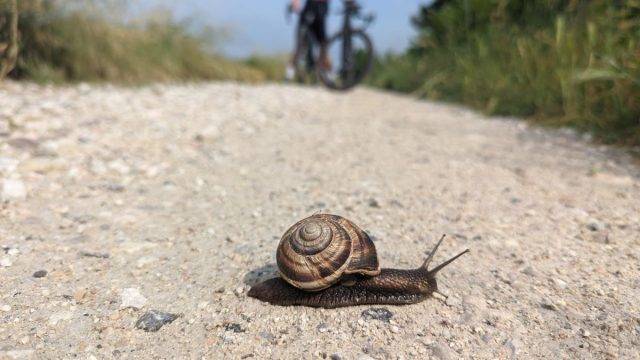 ferrara italy gravel cycling