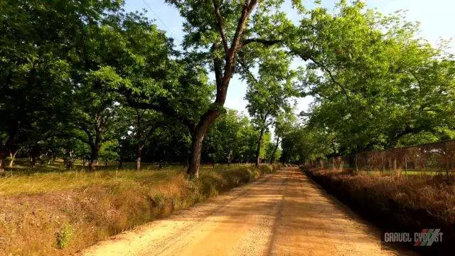 south georgia farmland cycling