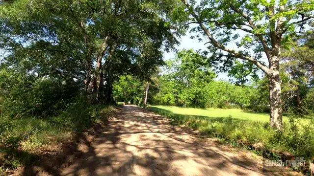 south georgia farmland cycling