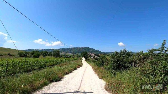 trek travel tuscany gravel trip