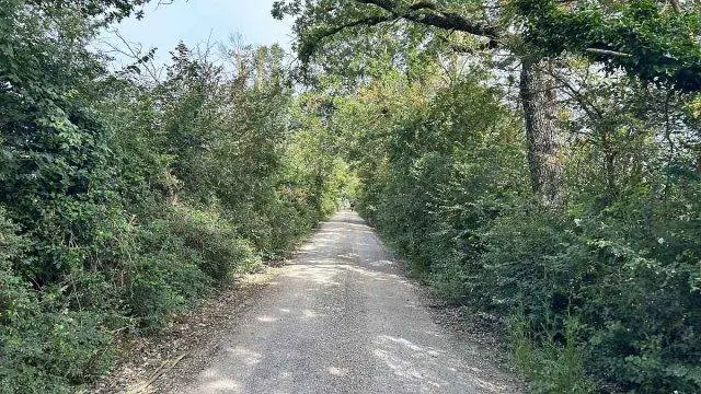 trek travel tuscany gravel trip