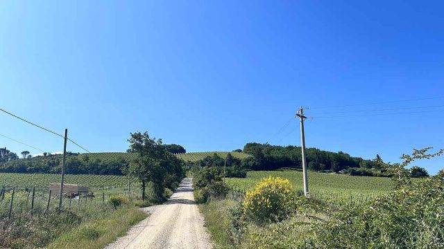 trek travel tuscany gravel trip