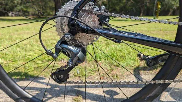 Trek Domane AL Gen 4 Review