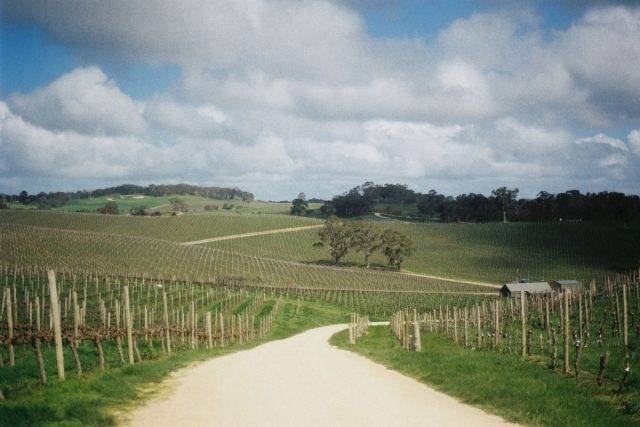 radl grvl mclaren vale south australia