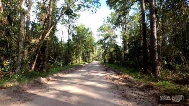 suwanee bicycle association gravel ride