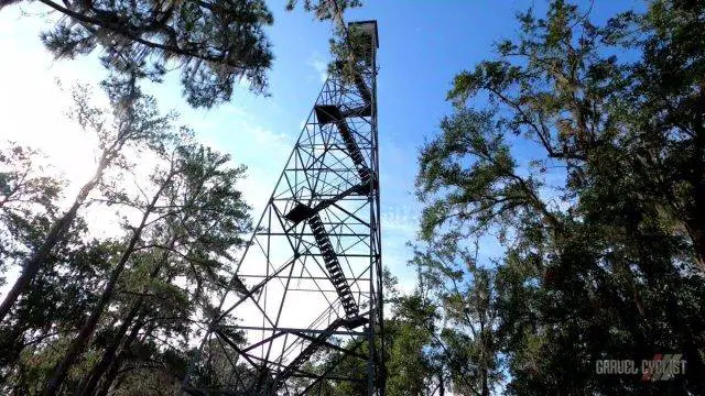 suwanee bicycle association gravel ride