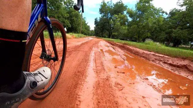 pecan groves in georgia