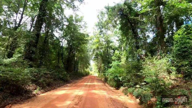 tour of fort valley georgia