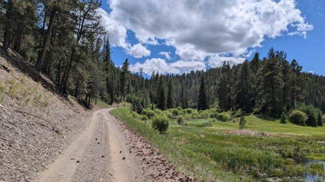 Trek Travel Black Hills Gravel Bike Tour