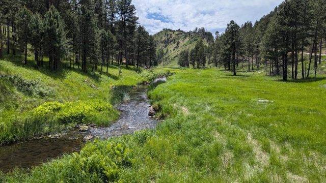 Trek Travel Black Hills Gravel Bike Tour