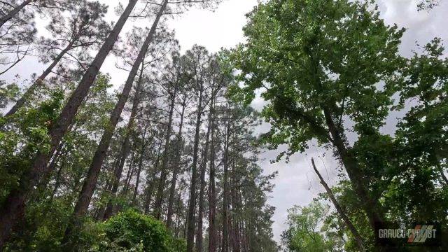 central georgia gravel cycling